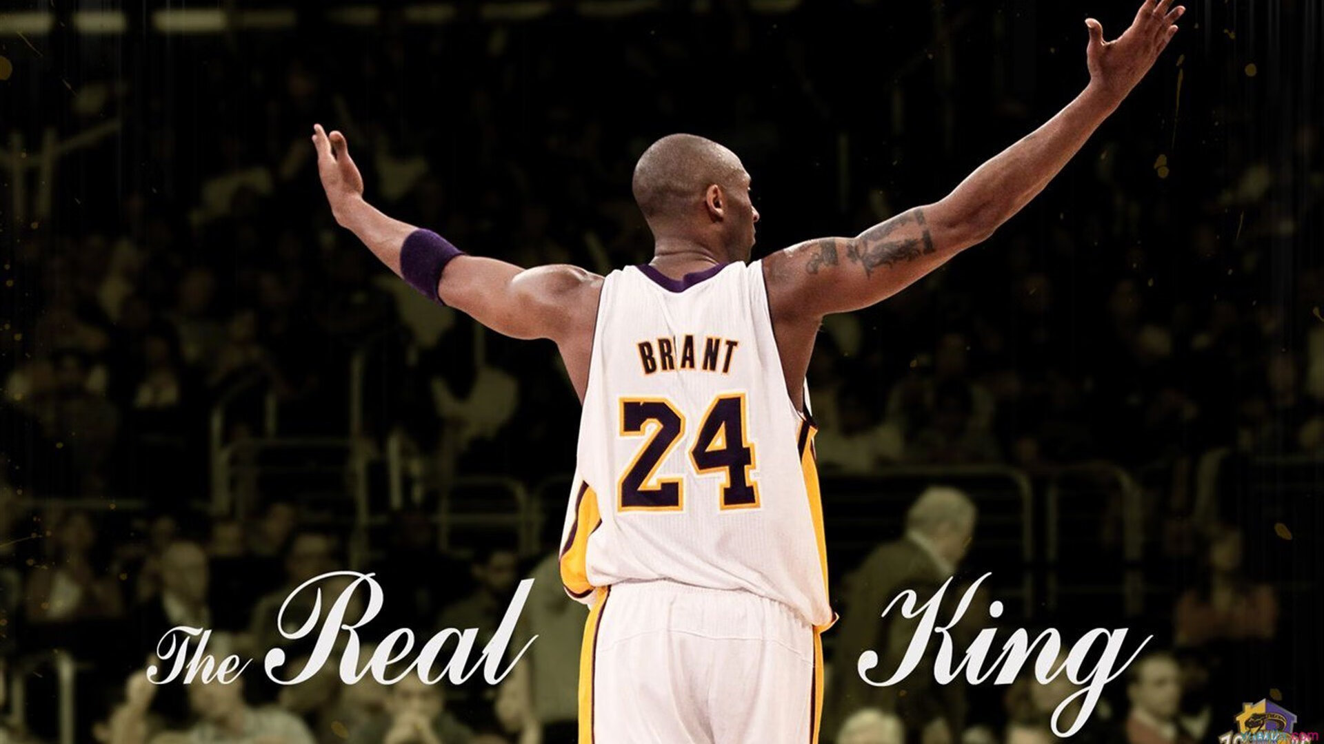 新赛季揭幕战 吸引万人围观 瞩目zhan，新赛季预告